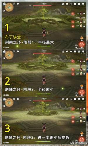 无相之草(无相之草在哪)插图2