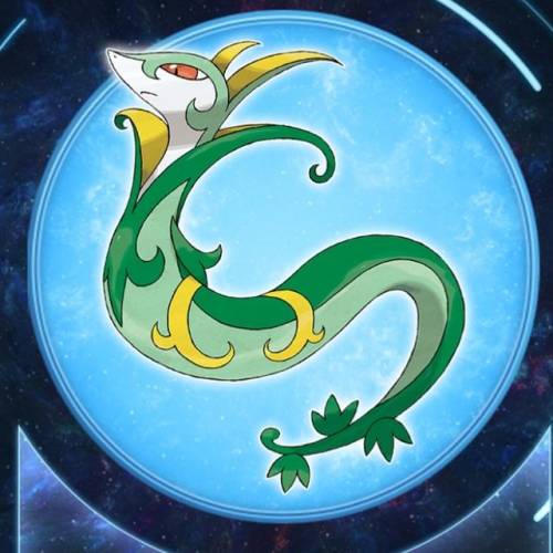 口袋妖怪黑白必练精灵(黑白2最强精灵排名)插图