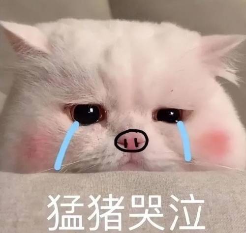 2022网络游戏排行榜前十名(2022年最火游戏排行榜前十名手游)插图19