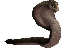 魔兽猎人宠物大全(猎人最稀有的宝宝排行)插图26