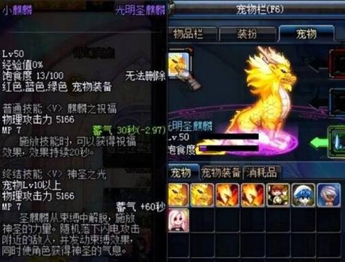 dnf绝版宠物(dnf历届年宠)插图6
