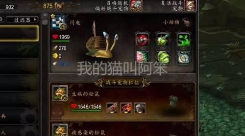 魔兽世界宠物对战必备宠物(经典60猎人宠物技能表)插图