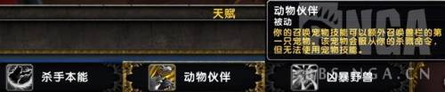 魔兽猎人宠物大全(猎人最稀有的宝宝排行)插图2