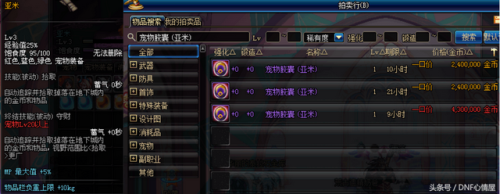dnf巴拉姆宠物外观(兔精灵战士灵芸属性)插图4