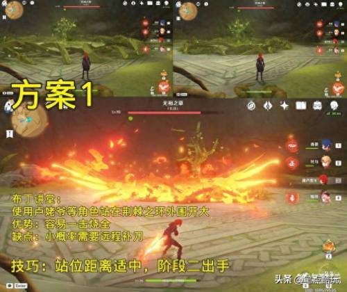 无相之草(无相之草在哪)插图3