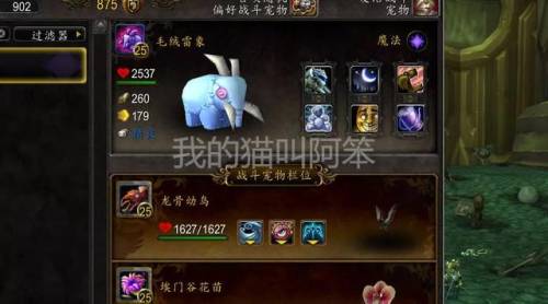 魔兽世界宠物对战必备宠物(经典60猎人宠物技能表)插图6