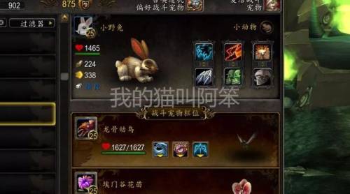 魔兽世界宠物对战必备宠物(经典60猎人宠物技能表)插图4
