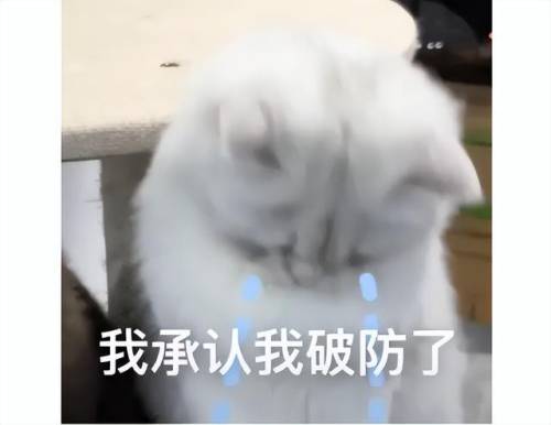 2022网络游戏排行榜前十名(2022年最火游戏排行榜前十名手游)插图1