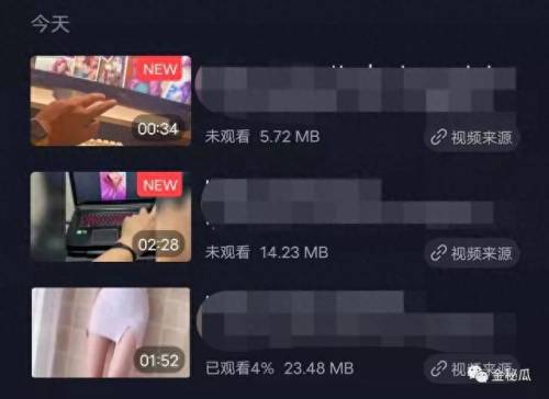 萨勒芬妮擦玻璃事件(外国人擦玻璃合集)插图3