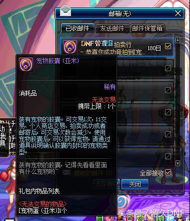dnf亚米(Dnf宠物亚米还能买到吗)插图1