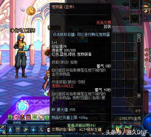 dnf亚米(Dnf宠物亚米还能买到吗)插图2