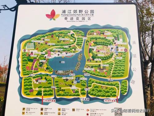 洛克王国紫藤怎么得到(洛克王国兑换紫藤的材料)插图1