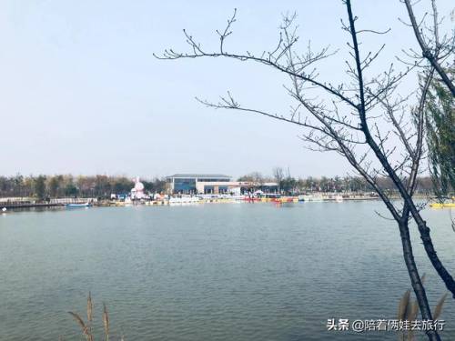 洛克王国紫藤怎么得到(洛克王国兑换紫藤的材料)插图6
