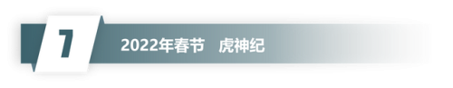 英雄联盟历年春节限定皮肤(lol历代周年限定皮肤)插图15