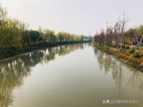 洛克王国紫藤怎么得到(洛克王国兑换紫藤的材料)插图12
