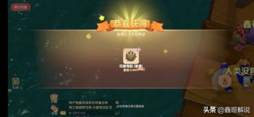 摩尔庄园奶油玉米浓汤(西餐厅玉米浓汤的做法)插图23