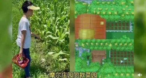 摩尔庄园白杨树干还能怎么得(摩尔庄园黑森林吉娜在哪)插图7