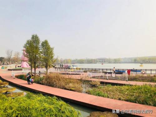 洛克王国紫藤怎么得到(洛克王国兑换紫藤的材料)插图4