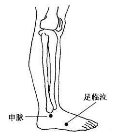 奇经八脉图高清大图(全身十二经络高清图)插图5