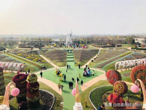 洛克王国紫藤怎么得到(洛克王国兑换紫藤的材料)插图35