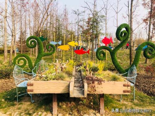 洛克王国紫藤怎么得到(洛克王国兑换紫藤的材料)插图63
