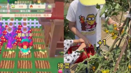 摩尔庄园白杨树干还能怎么得(摩尔庄园黑森林吉娜在哪)插图9