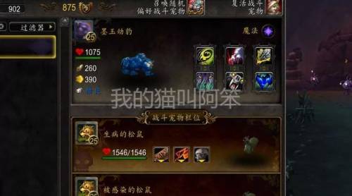 魔兽世界小宠物哪个厉害(魔兽世界最强宠物排行)插图5