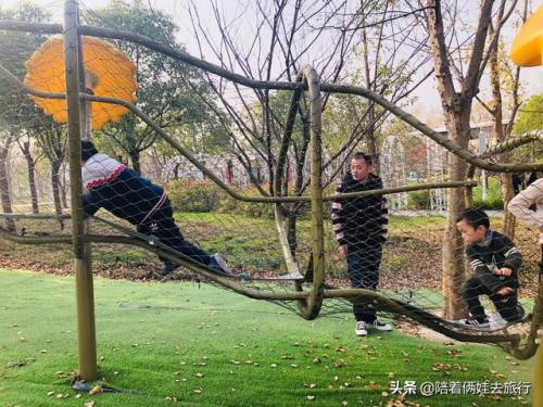 洛克王国紫藤怎么得到(洛克王国兑换紫藤的材料)插图57