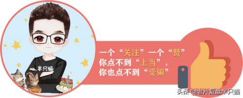教父游戏剧情(教父第二部剧情解析)插图65