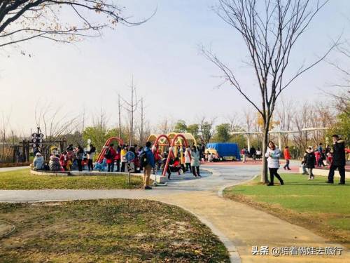 洛克王国紫藤怎么得到(洛克王国兑换紫藤的材料)插图53