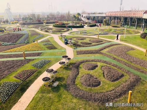 洛克王国紫藤怎么得到(洛克王国兑换紫藤的材料)插图40