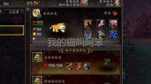 魔兽世界小宠物哪个厉害(魔兽世界最强宠物排行)插图2