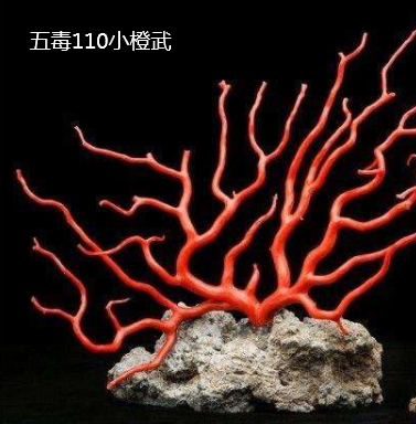 剑网3唐门大橙武(唐门螭首千机)插图66
