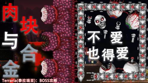 泰拉瑞亚肉山(召唤肉山需要什么条件)插图