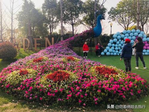 洛克王国紫藤怎么得到(洛克王国兑换紫藤的材料)插图49
