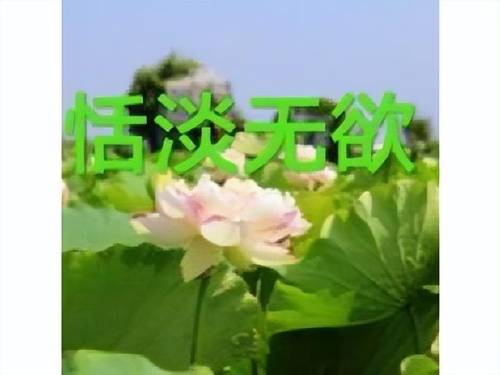 无头骑士的缰绳稀有吗(70级无头骑士的缰绳无限刷)插图8