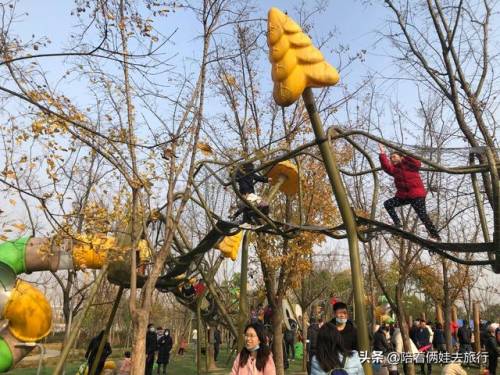 洛克王国紫藤怎么得到(洛克王国兑换紫藤的材料)插图55