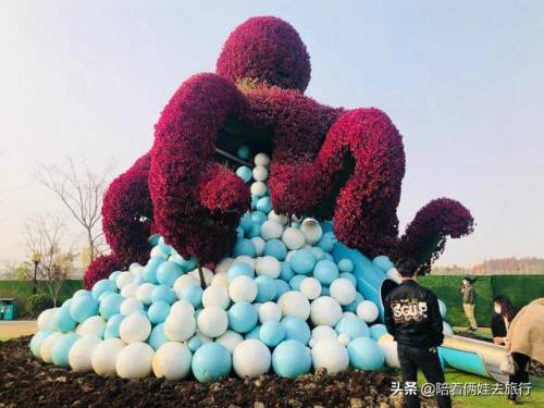 洛克王国紫藤怎么得到(洛克王国兑换紫藤的材料)插图59