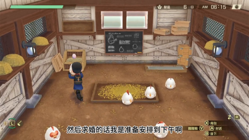牧场物语女孩版追男生攻略(风之集市全男人物攻略)插图1