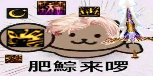 2022年宠物宝珠16属强叫什么(宠物16属强在哪里有得买)插图1