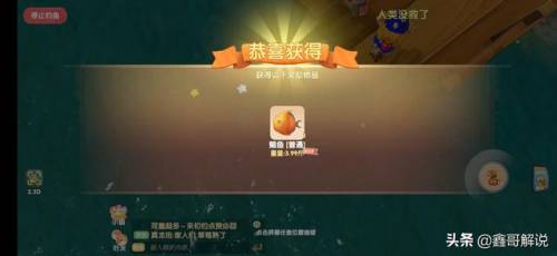 摩尔庄园奶油玉米浓汤(西餐厅玉米浓汤的做法)插图19