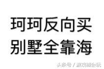 前斗鱼一哥力挺德国却惨遭打脸(斗鱼9438船长入狱)插图2