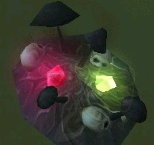 泰罗果哪里采(泰罗果采集路线)插图35