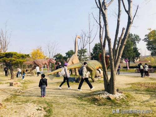 洛克王国紫藤怎么得到(洛克王国兑换紫藤的材料)插图26