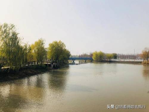 洛克王国紫藤怎么得到(洛克王国兑换紫藤的材料)插图22