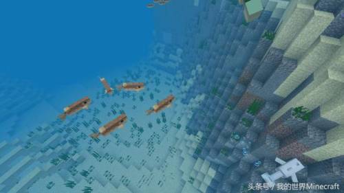 我的世界海洋版(我的世界海洋版本是几点几版本)插图7