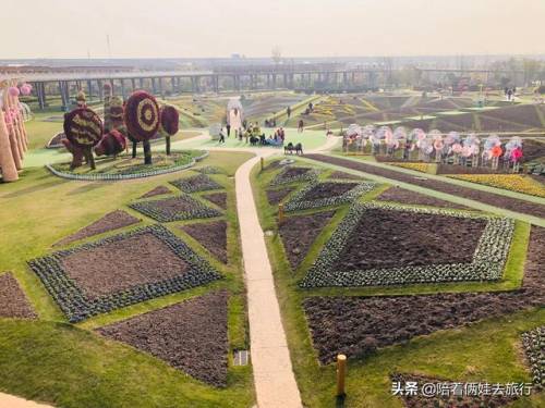 洛克王国紫藤怎么得到(洛克王国兑换紫藤的材料)插图41