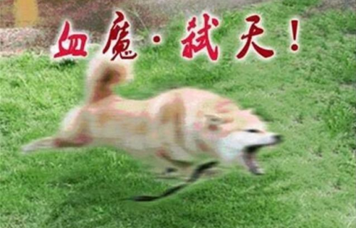 狱血魔神怎么堆伤害(堆暴击还是爆击伤害)插图6