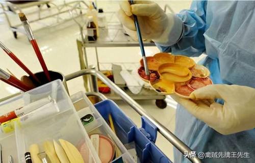 王者荣耀天堂引路人链接分享(镜的欢迎会welcome-欢迎访问)插图11