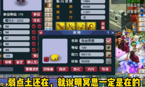 梦幻西游手游打书位置讲解(手游宝宝打书技能位置图)插图9